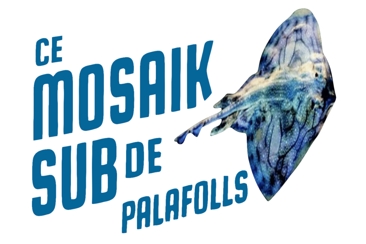 CE Mosaik Sub