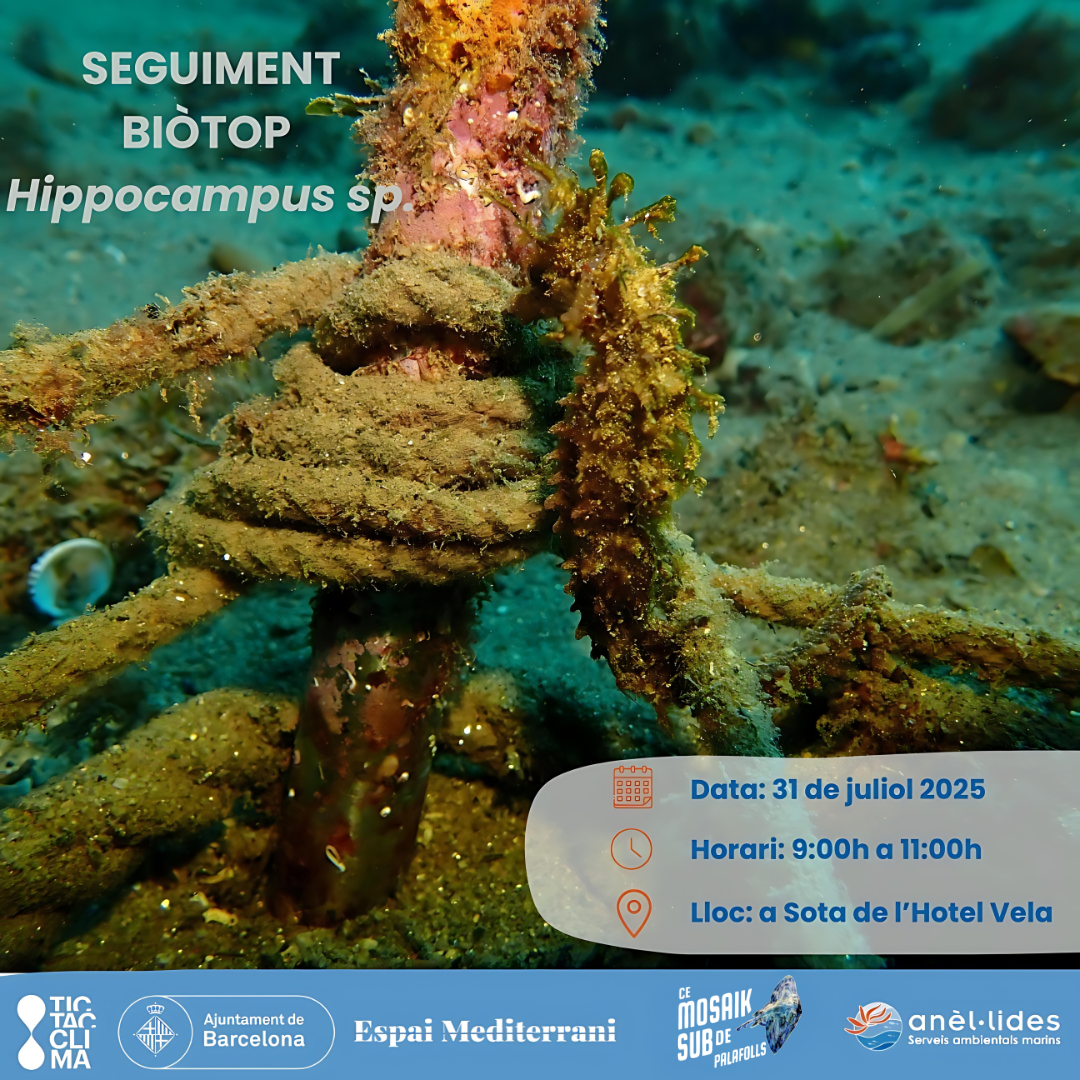 Seguiment Biòtop Anellides